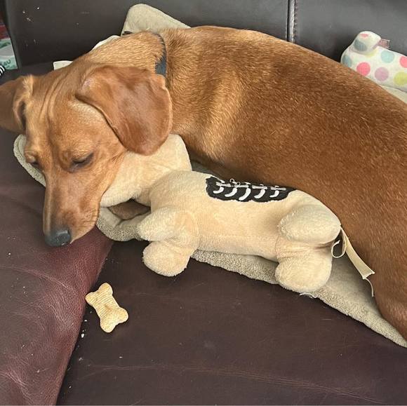 Meet your Posher, Lynn - Picture 1 of 1